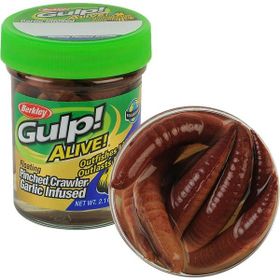 Berkley Gulp Alive Floating Pinched Crawler Nightcrawler Sahte Kurt