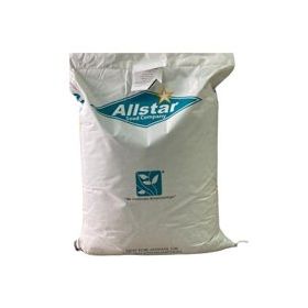 Bermuda Grass Cynodon Dactylon 5 kg Çim Tohumu