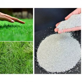 Bermuda Grass Cynodon Dactylon 5 kg Çim Tohumu