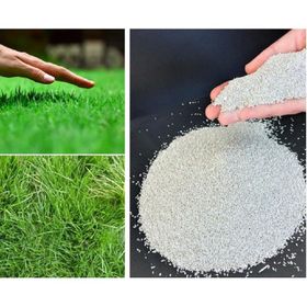 Bermuda Grass Cynodon Dactylon 5 kg Çim Tohumu