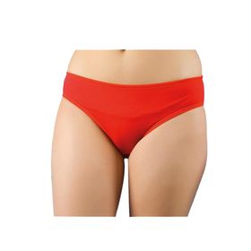 Berrak 2056 Kadın Full Licra Düz Bikini Külot