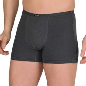 Berrak 4488 Modal Füme Erkek Boxer