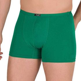 Berrak 4488 Modal Yeşil Erkek Boxer