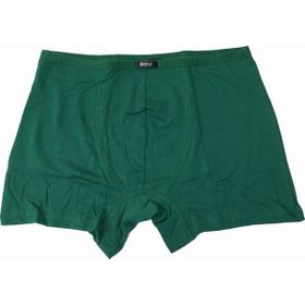Berrak 4488 Modal Yeşil Erkek Boxer