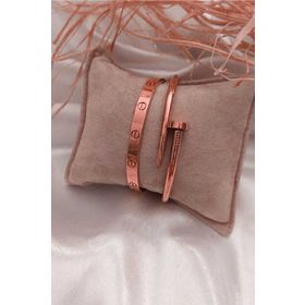 Bers Aksesuar ELVNÇCBÇ Çivi Ve Cartier Çelik Bileklik Set