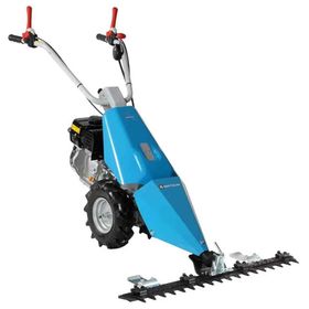 Bertolini BT 110 Benzinli Çim Biçme Makinesi