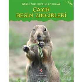 Besin Zincirlerini Korumak Çayır Besin Zincirleri - Buffy Silverman