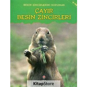 Besin Zincirlerini Korumak Çayır Besin Zincirleri - Buffy Silverman