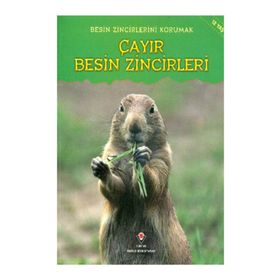 Besin Zincirlerini Korumak Çayır Besin Zincirleri - Buffy Silverman