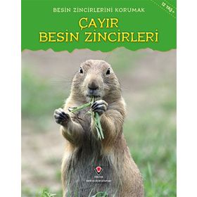 Besin Zincirlerini Korumak Çayır Besin Zincirleri - Buffy Silverman