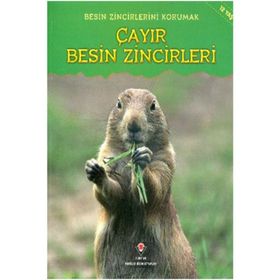 Besin Zincirlerini Korumak Çayır Besin Zincirleri - Buffy Silverman