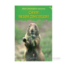 Besin Zincirlerini Korumak Çayır Besin Zincirleri - Buffy Silverman