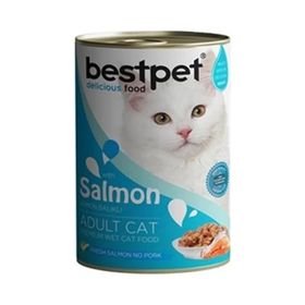 Best Bestpet 400 gr Somonlu Konserve Yetişkin Kedi Maması