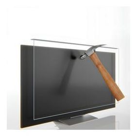 Best Ekran Regal 55R755VC Tv Ekran Koruyucu