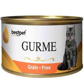 Best Pet 100 gr Gurme Jöleli Somonlu Yetişkin Kedi Konservesi