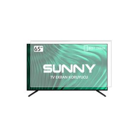 Bestoclass 65 İnç Oled 165 Ekran Uyumlu TV Ekran Koruyucu