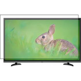 Bestoclass Altus AL43L 6725 4B Uyumlu Tv Ekran Koruyucu