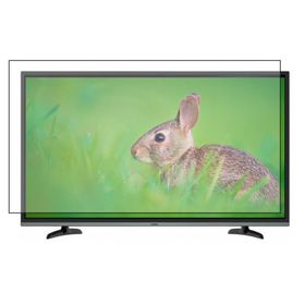 Bestoclass Altus AL43L 6725 4B Uyumlu Tv Ekran Koruyucu