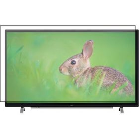 Bestoclass Altus AL49L 8850 5B Uyumlu Tv Ekran Koruyucu