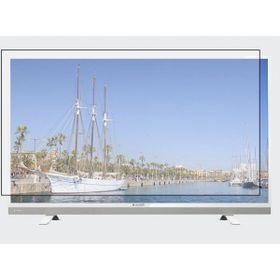 Bestoclass Arçelik A55 LW 8477 Uyumlu Tv Ekran Koruyucu