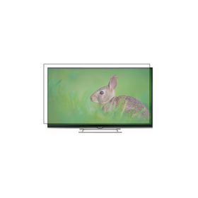 Bestoclass Arçelik A65L 8552 4B Uyumlu Tv Ekran Koruyucu