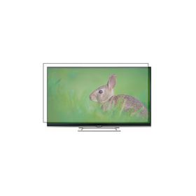 Bestoclass Arçelik A65L 8552 4B Uyumlu Tv Ekran Koruyucu