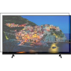 Bestoclass Arçelik A65L 9765 5B Uyumlu Tv Ekran Koruyucu