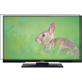 Bestoclass Finlux 48FU610 Uyumlu Tv Ekran Koruyucu