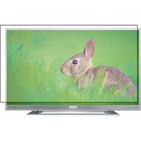 Bestoclass Grundig G32 LS 5533 Uyumlu Tv Ekran Koruyucu