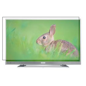 Bestoclass Grundig G32 LS 5533 Uyumlu Tv Ekran Koruyucu