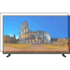 Bestoclass Grundig Roma 65 GCU 7905A Uyumlu Tv Ekran Koruyucu