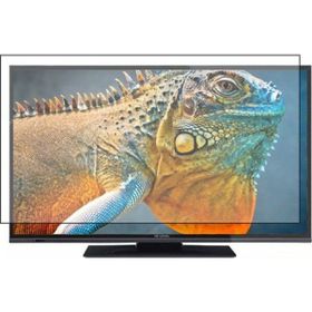 Bestoclass Hi Level 43HL500 Uyumlu Tv Ekran Koruyucu