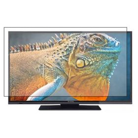 Bestoclass Hi Level 49HL550 Uyumlu Tv Ekran Koruyucu