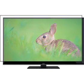 Bestoclass Hitachi 55HT1800UD Uyumlu Tv Ekran Koruyucu