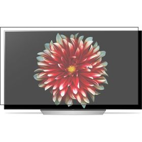 Bestoclass LG 55EG9A7V OLED Tv Ekran Koruyucu