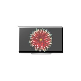 Bestoclass LG 55EG9A7V OLED Tv Ekran Koruyucu