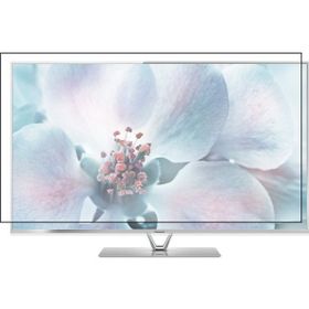 Bestoclass Panasonic TX-L50ETW60 Uyumlu Tv Ekran Koruyucu