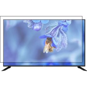Bestoclass Profilo 43PA300E Uyumlu Tv Ekran Koruyucu
