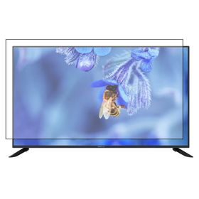 Bestoclass Profilo 43PA300E Uyumlu Tv Ekran Koruyucu