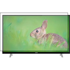 Bestoclass Profilo 50PA505E Uyumlu Tv Ekran Koruyucu