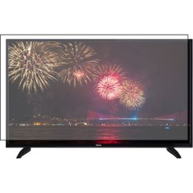 Bestoclass Regal 49R6010U Uyumlu Tv Ekran Koruyucu