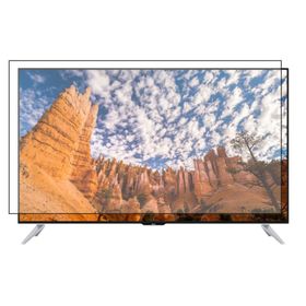 Bestoclass Regal 49R8560U Uyumlu Tv Ekran Koruyucu