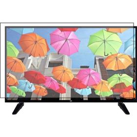 Bestoclass SEG 49SBF700 Uyumlu Tv Ekran Koruyucu