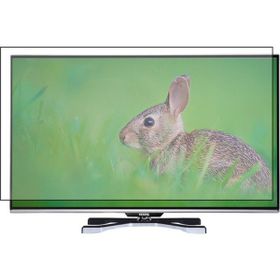 Bestoclass Vestel 47PF9090 Uyumlu Tv Ekran Koruyucu