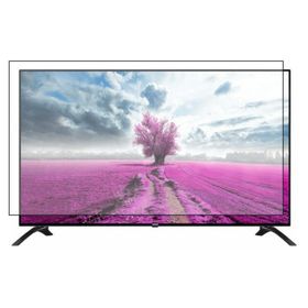 Bestoclass Vestel 65UD9000 Uyumlu Tv Ekran Koruyucu