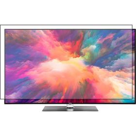 Bestoclass Vestel 65UD9650T Uyumlu Tv Ekran Koruyucu
