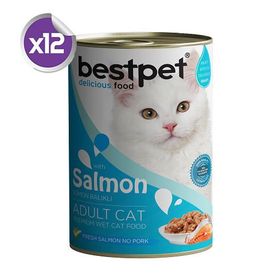 Bestpet 12x400 gr Somonlu Yetişkin Kedi Maması