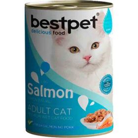 Bestpet 24x400 gr Somonlu Yetişkin Kedi Konservesi