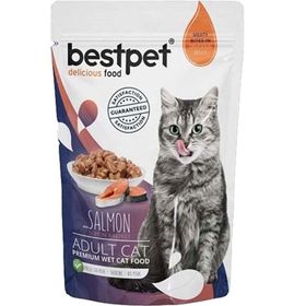 BestPet 85 gr Pouch Somonlu Yetişkin Kedi Konservesi