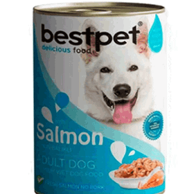 Bestpet Somon Balıklı 400 gr Yetişkin Köpek Konservesi